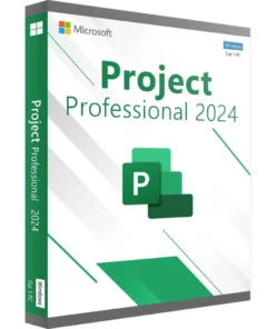 Microsoft Project Professional 2024