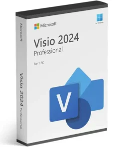 Microsoft Visio Professional 2024