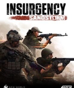 Insurgency: Sandstorm (Steam)